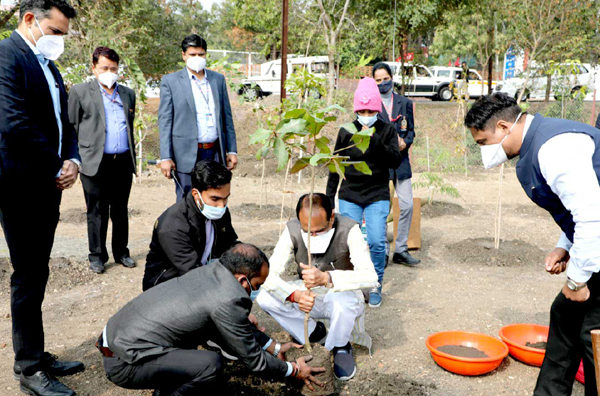 मुख्यमंत्री श्री चौहान ने स्मार्ट उद्यान में लगाये बादाम और काला शीशम के पौधे